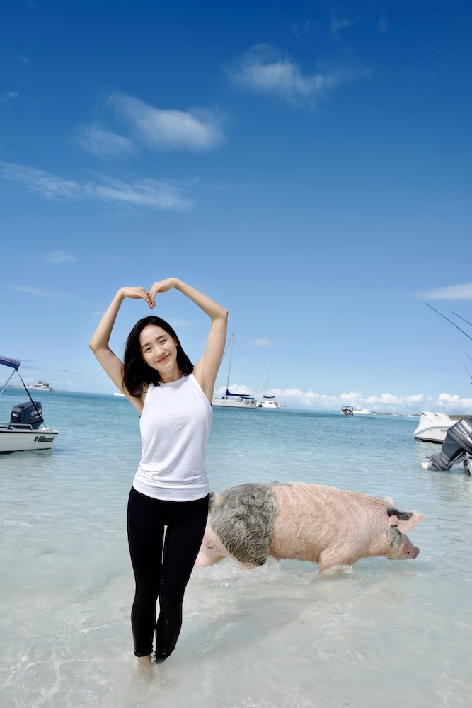 Zhi Wang HD Images/Photo Gallery Download #3463875