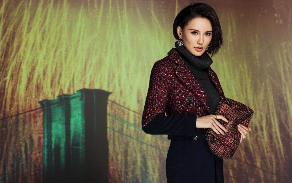 Monica Siu-Kei Mok HD Images/Photo Gallery Download #7020184