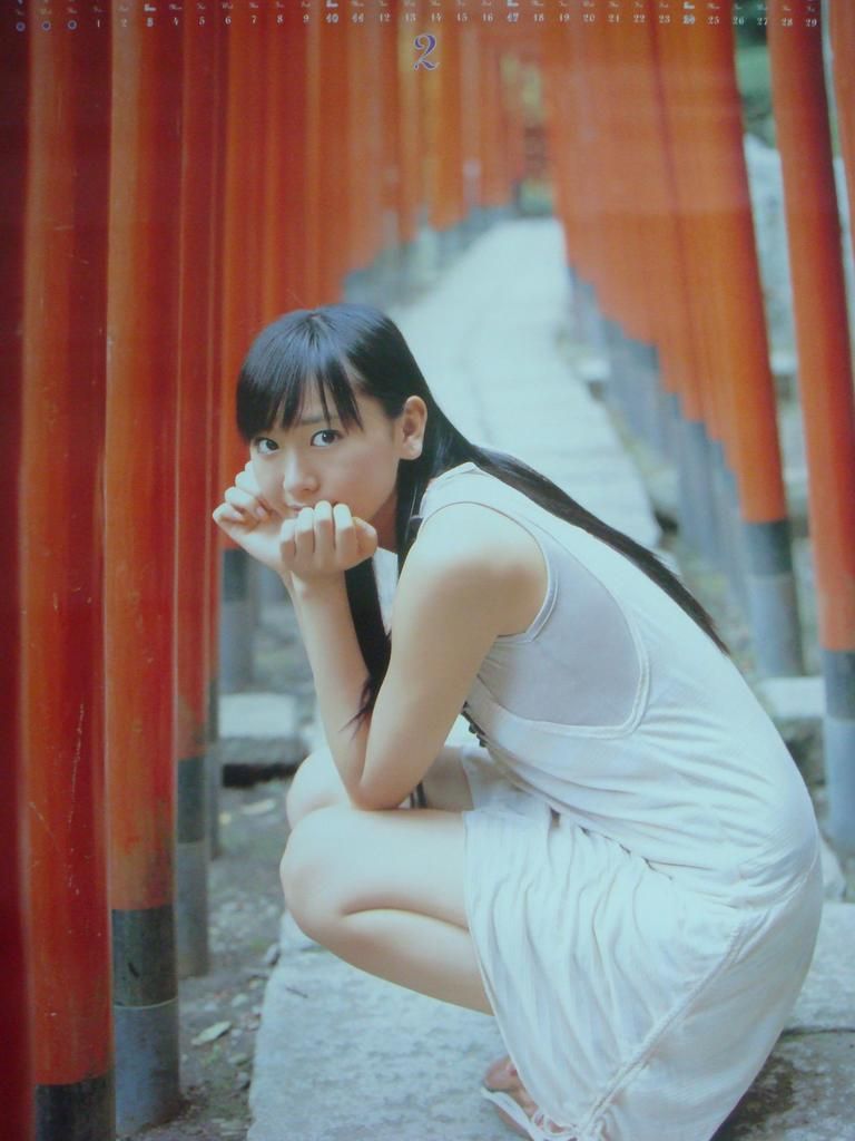 新垣结衣 高清写真/照片下载 #846628