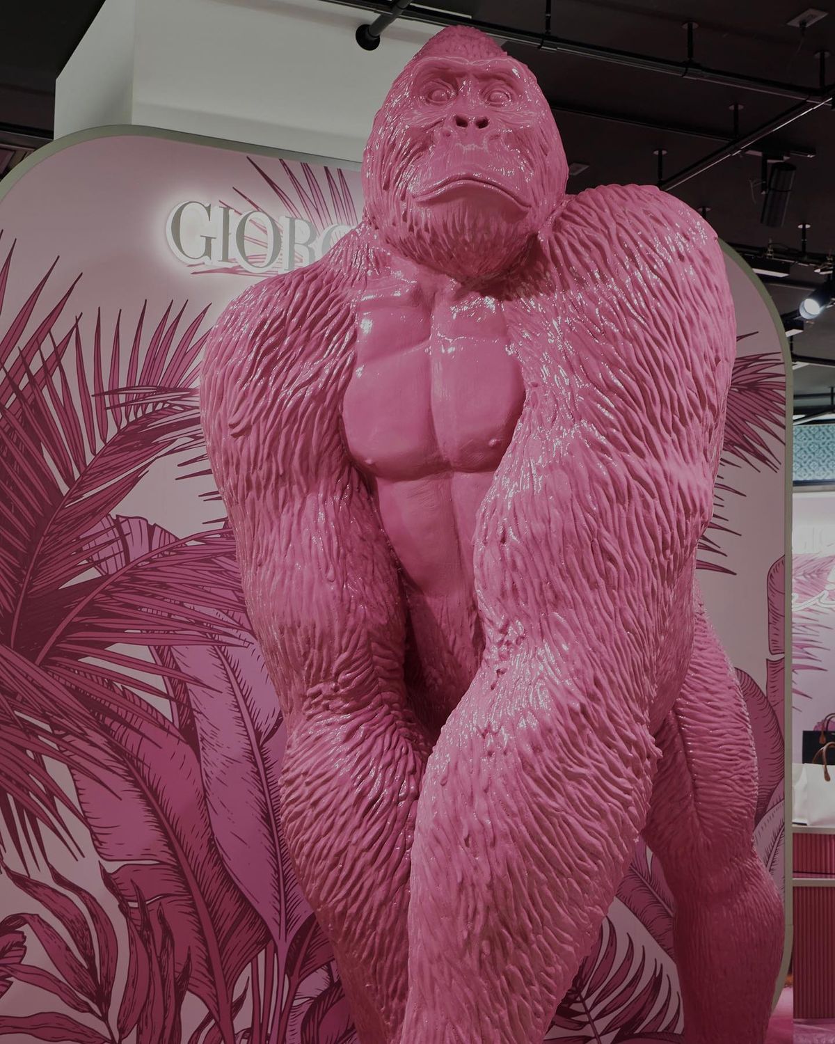 Ayaka Miyoshi HD Images/Photo Gallery Download #7484463