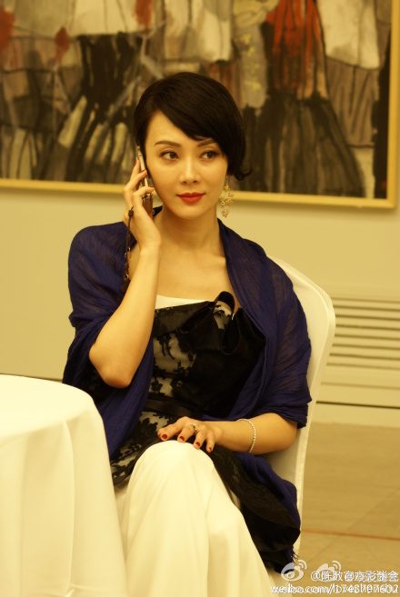 Shu Chen HD Images/Photo Gallery Download #1942523