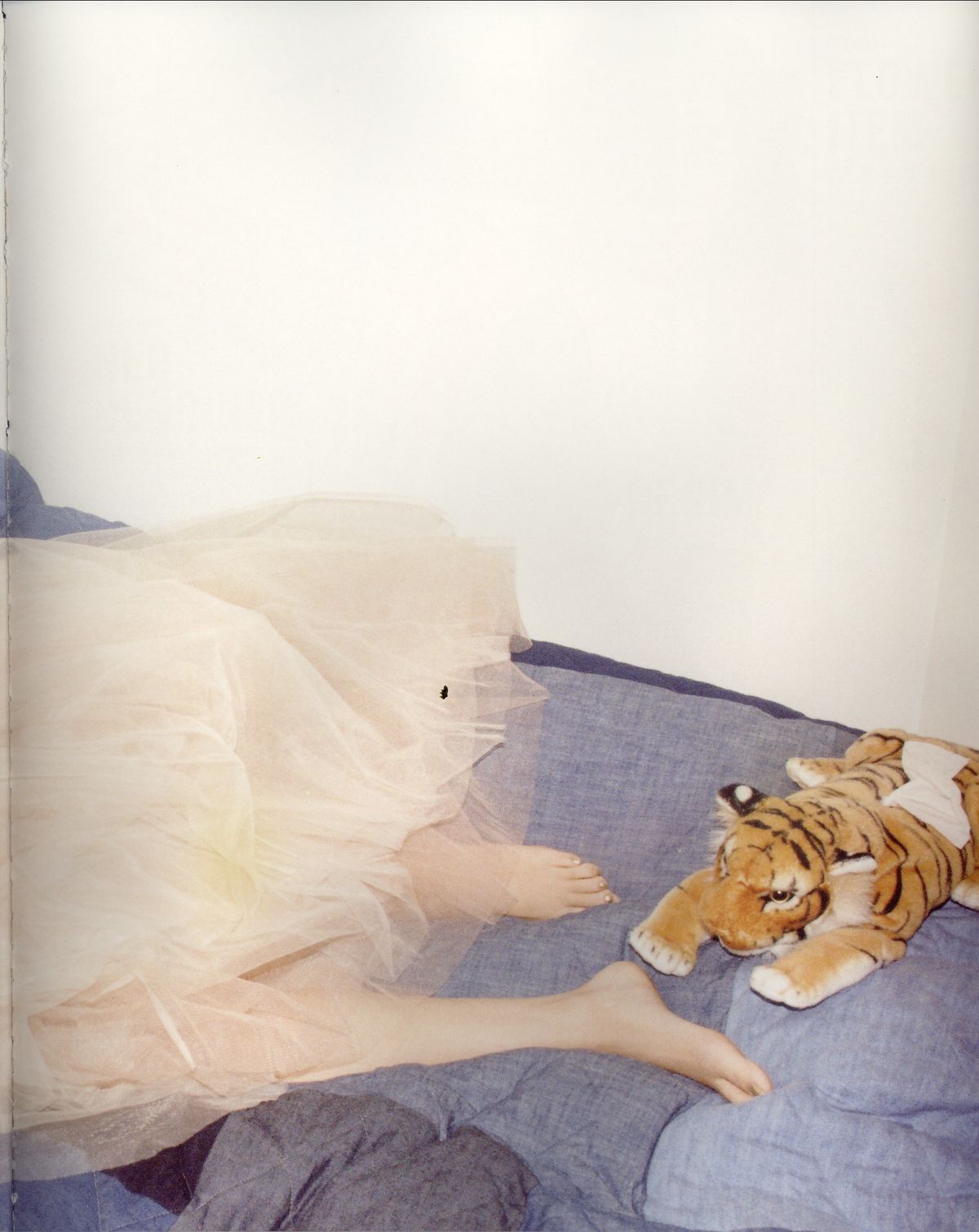 新垣结衣 高清写真/照片下载 #1686573