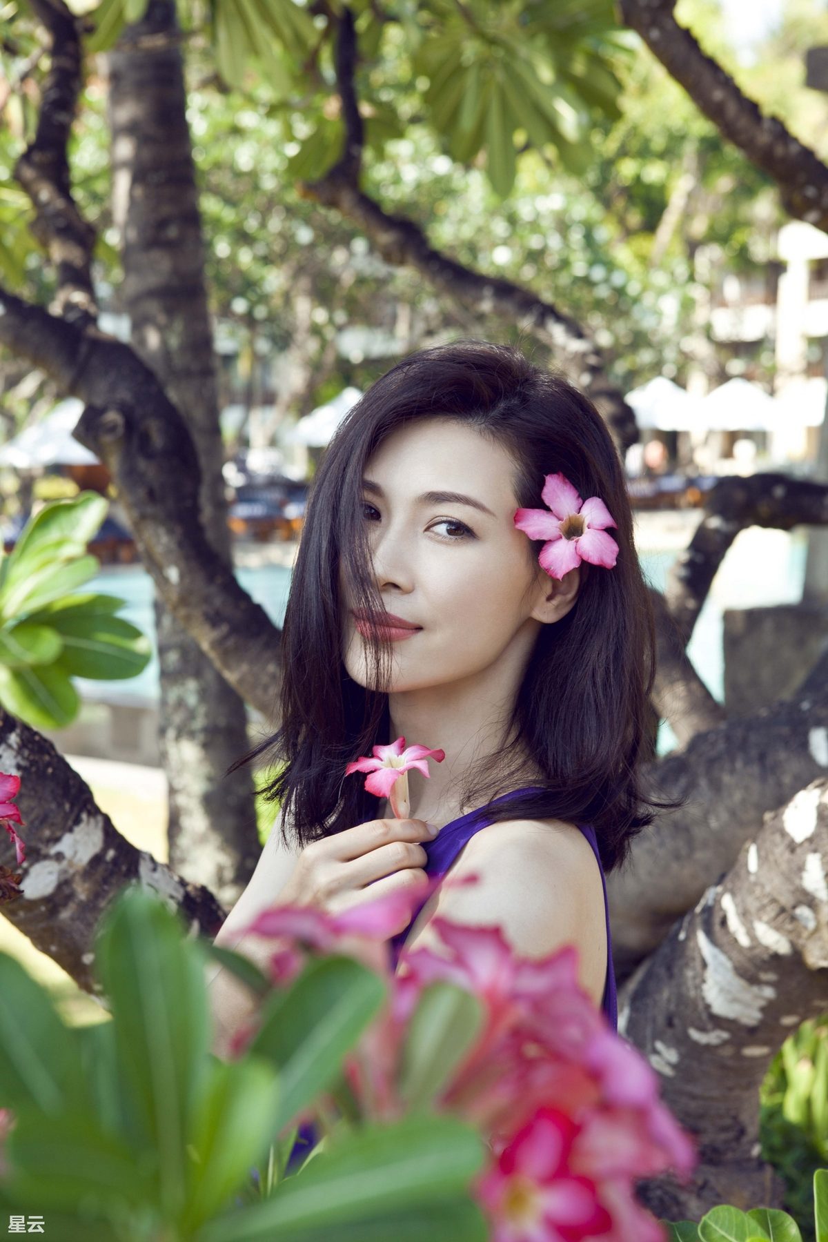 Lei Tong HD Images/Photo Gallery Download #6996200