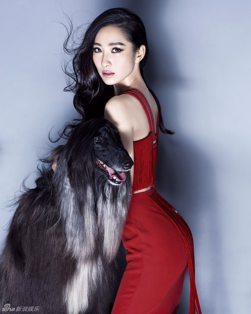 陶昕然 高清写真/照片下载 #3411495