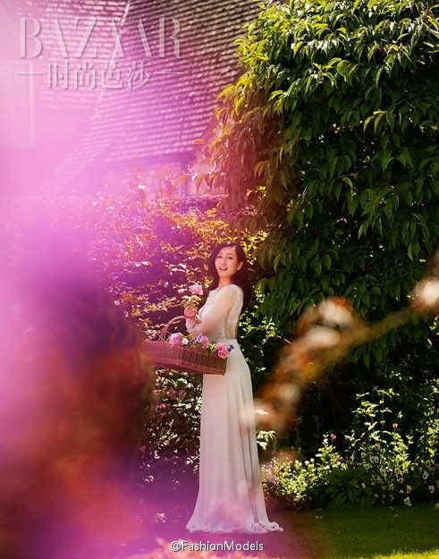 진해로 HD 이미지/사진 갤러리 다운로드 #1929564