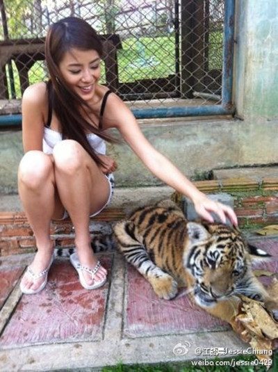 Jessie Chiang HD Images/Photo Gallery Download #1546006