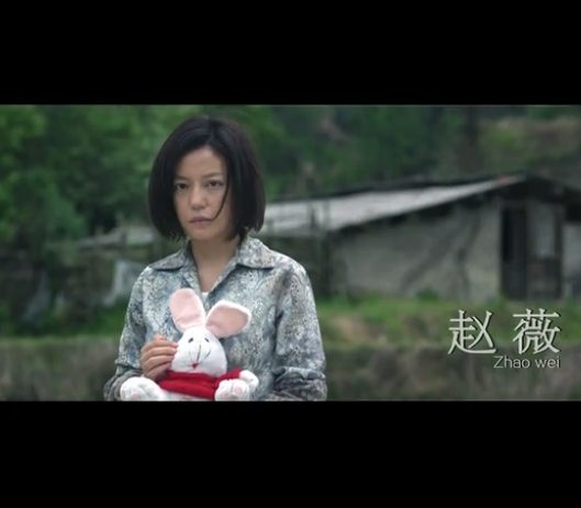 赵薇 高清写真/照片下载 #1672154