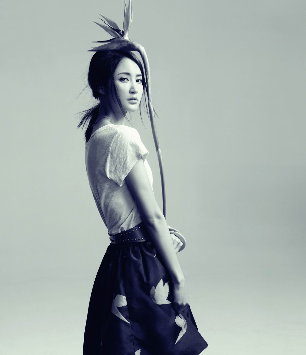 Xinyi Zhang HD Images/Photo Gallery Download #811303
