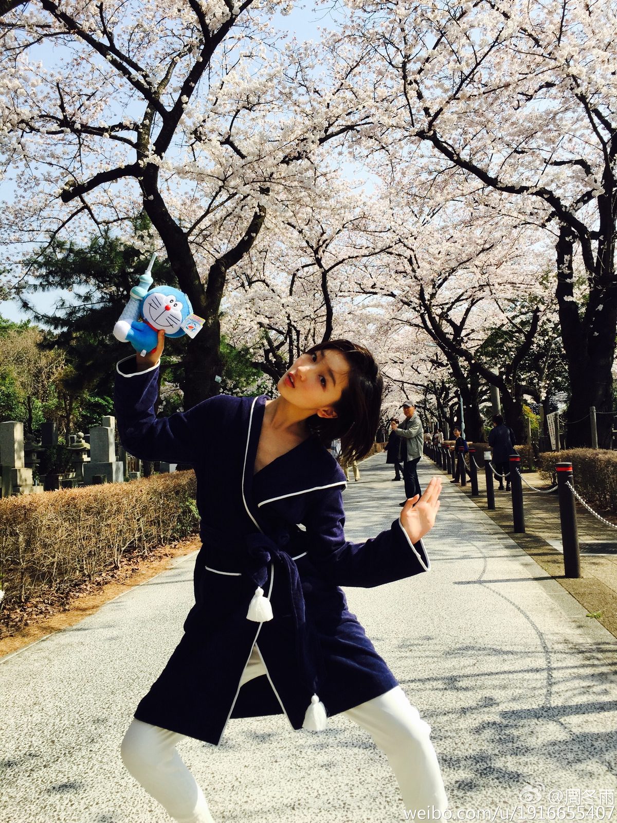 周冬雨 高清写真/照片下载 #1910844