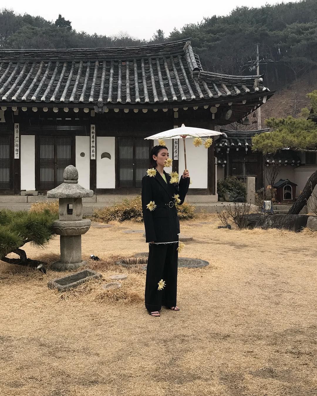 三吉彩花 高清写真/照片下载 #7488354