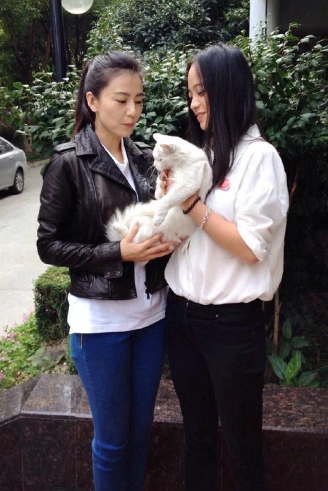 Yuanyuan Gao HD Images/Photo Gallery Download #670736