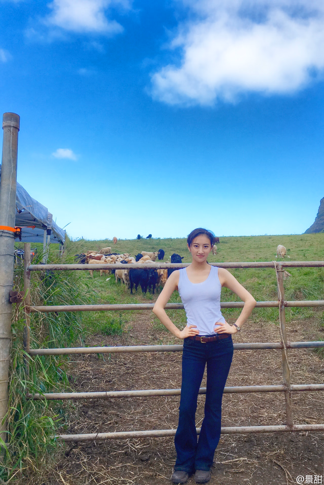 Tian Jing HD Images/Photo Gallery Download #6689275