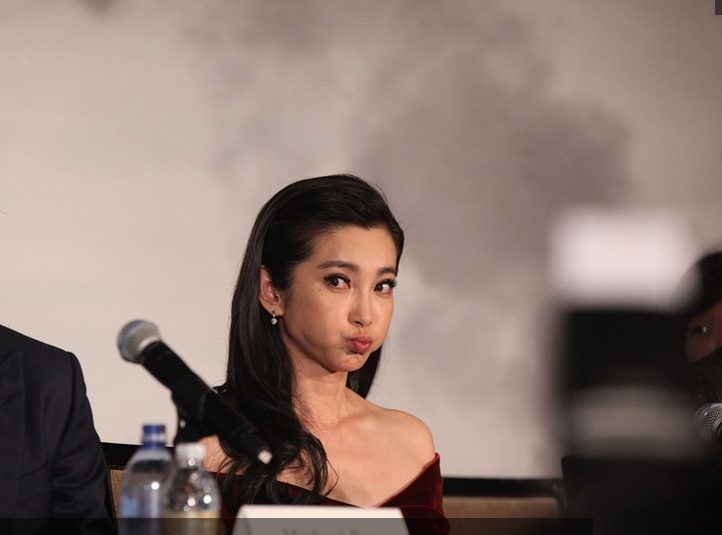 Bingbing Li HD Images/Photo Gallery Download #1402164