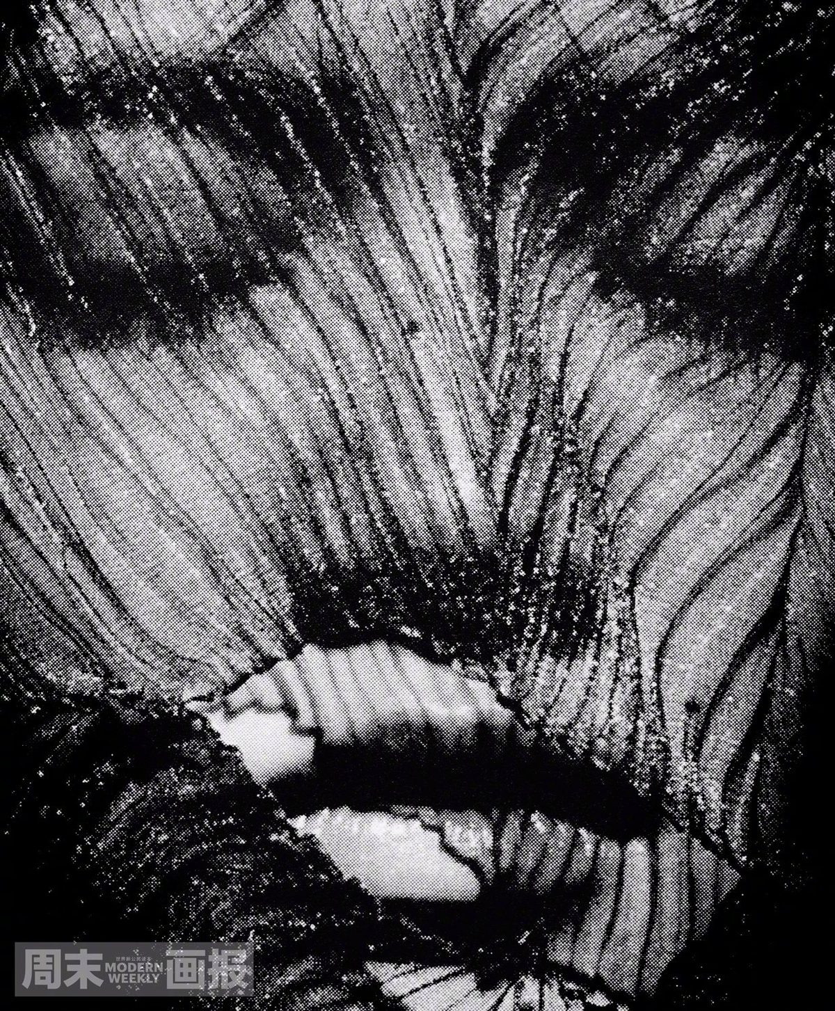 Nana Komatsu HD Images/Photo Gallery Download #3899553