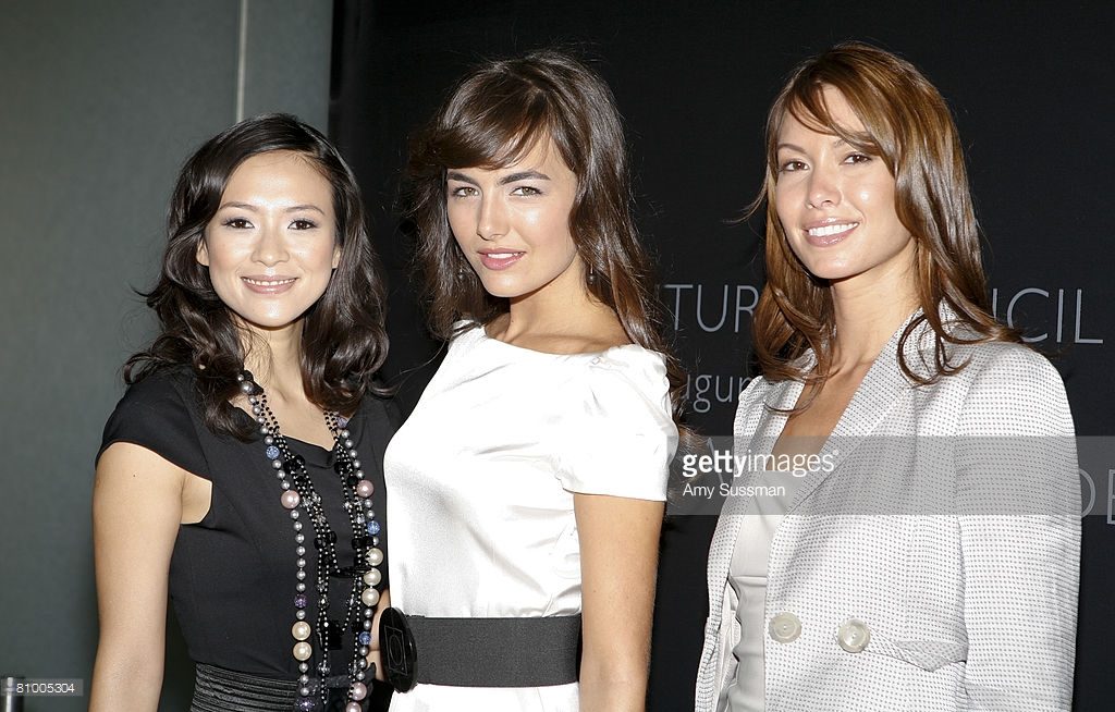 Ziyi Zhang HD Images/Photo Gallery Download #1045313