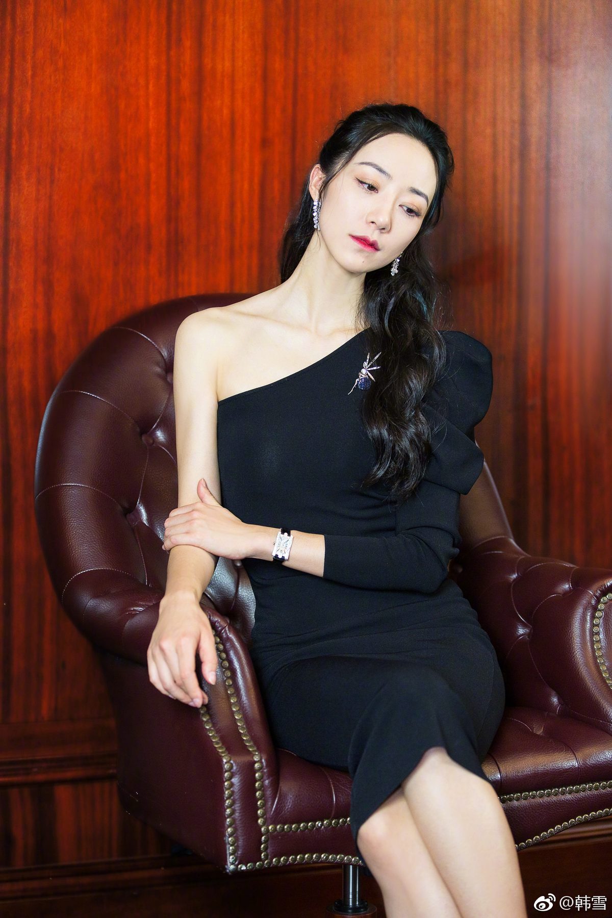 한쉐 HD 이미지/사진 갤러리 다운로드 #6656633
