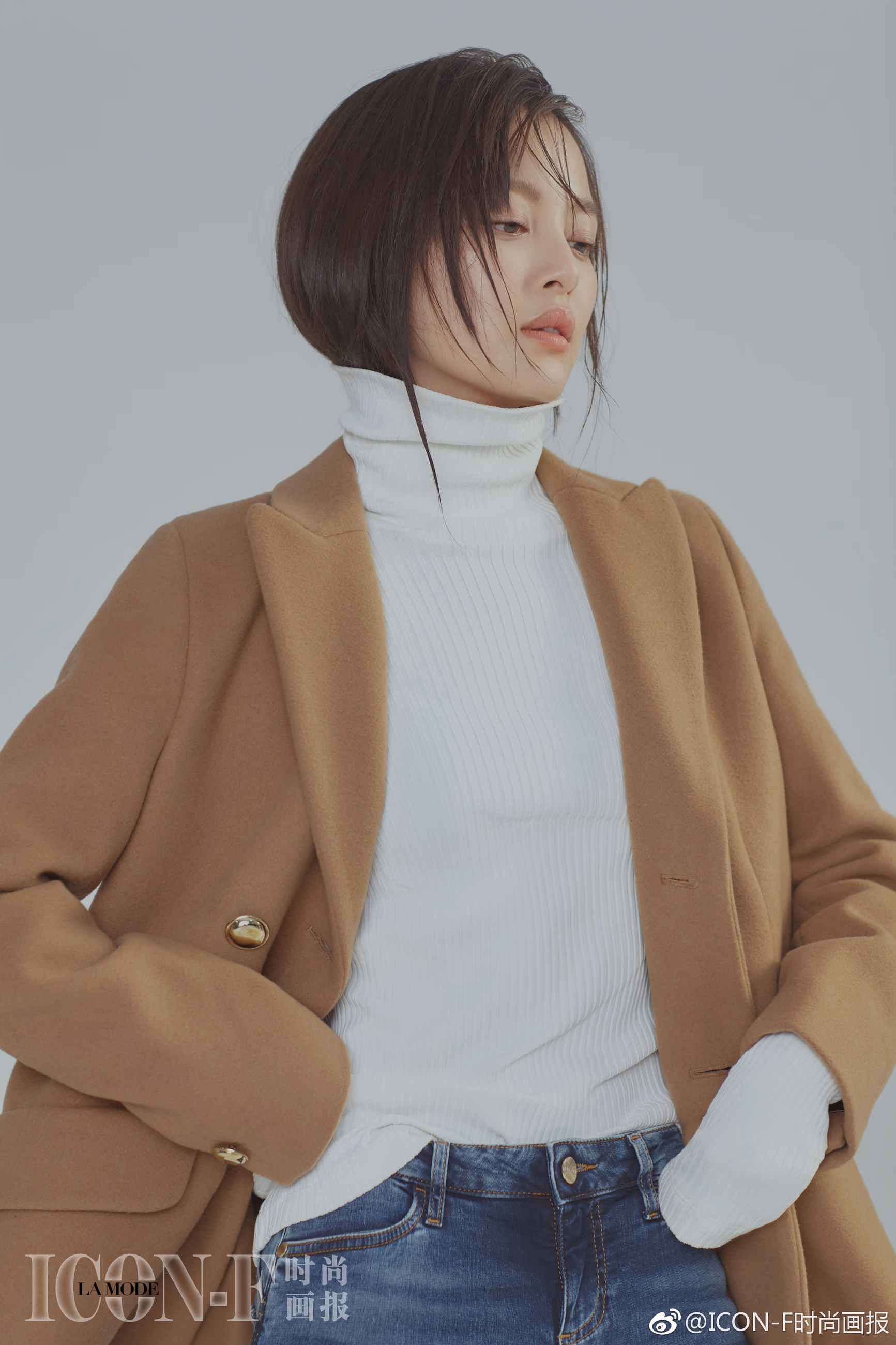 辛芷蕾 高清写真/照片下载 #3511173