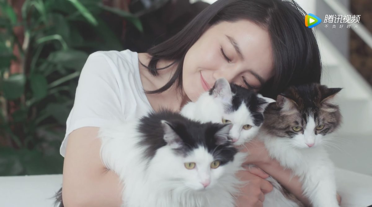 Yuanyuan Gao HD Images/Photo Gallery Download #668921