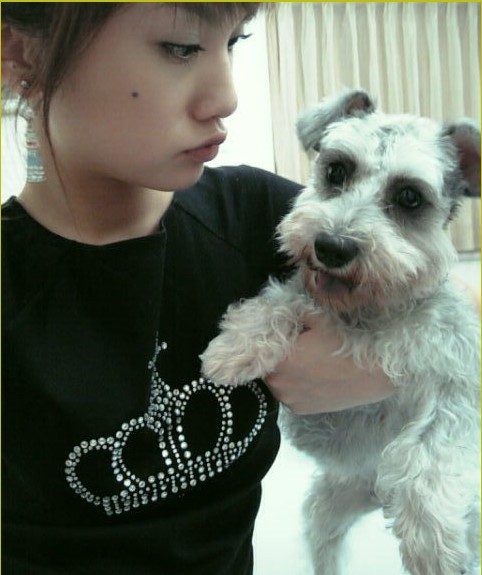 Rainie Yang HD Images/Photo Gallery Download #569275