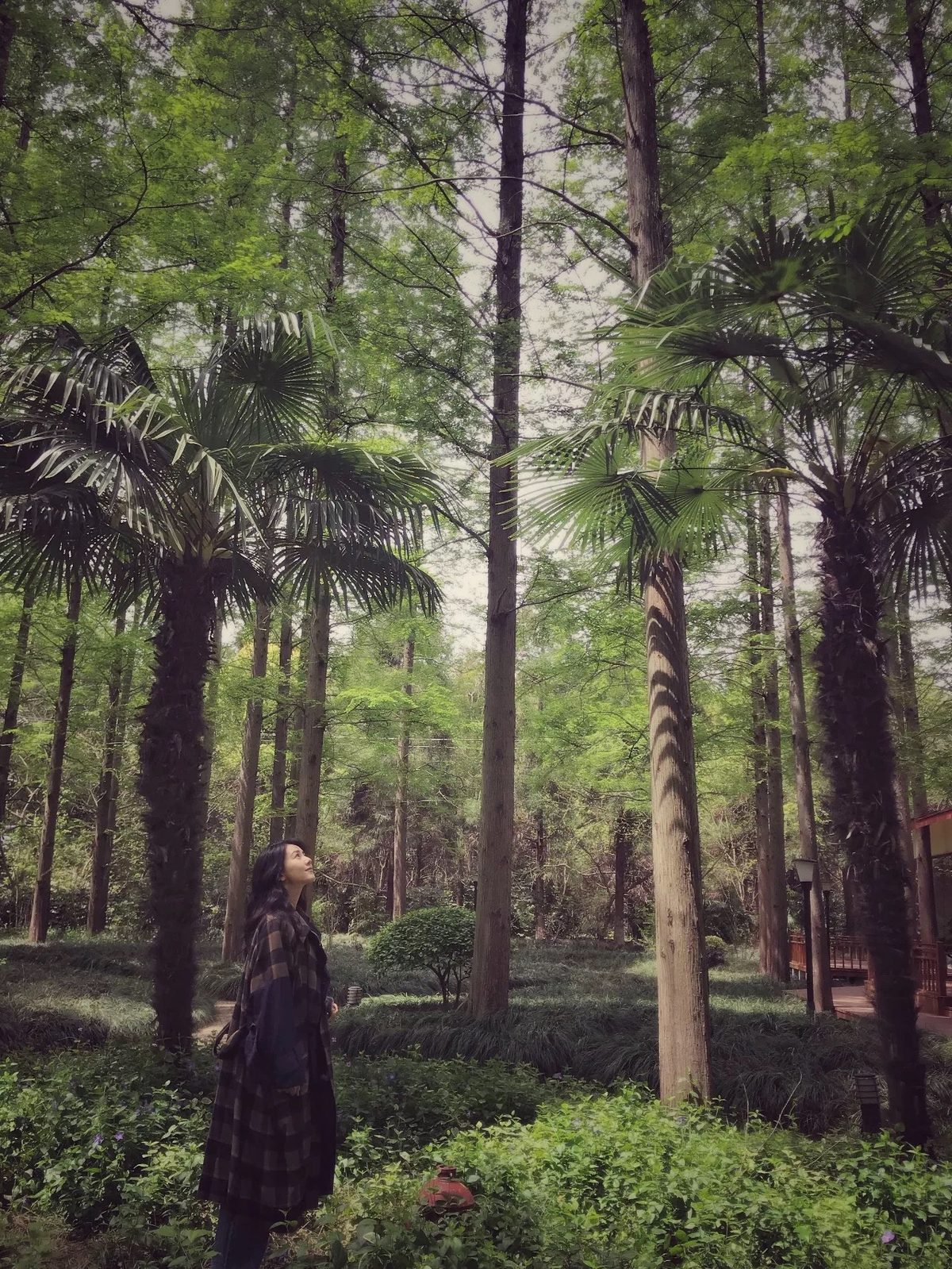 カオ・ユアンユアン HD画像/フォトギャラリーダウンロード #667903