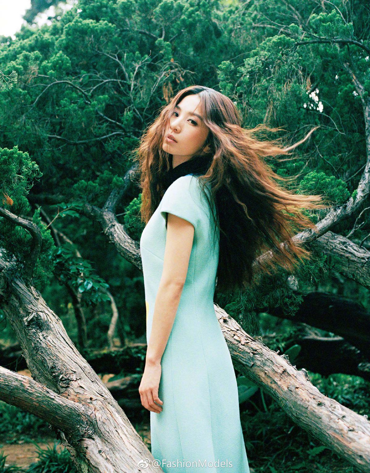 Hebe Tien HD Images/Photo Gallery Download #6971632