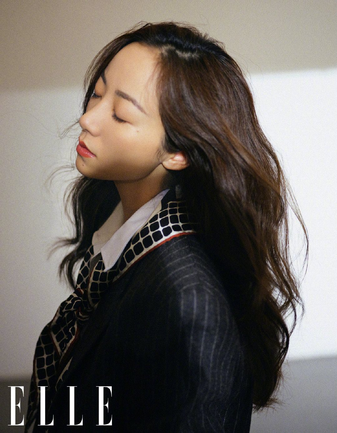 한쉐 HD 이미지/사진 갤러리 다운로드 #6346314
