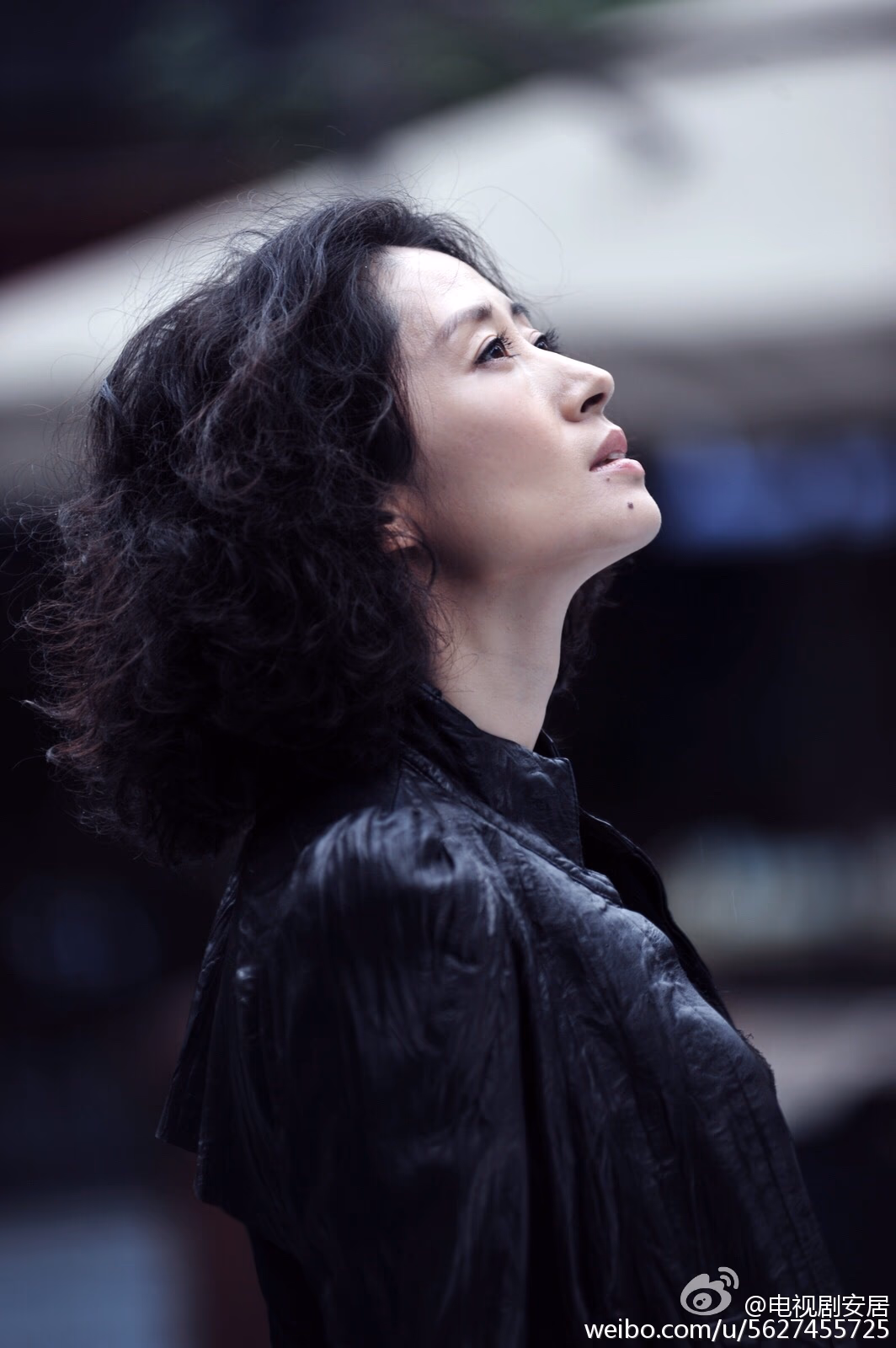 刘敏涛 高清写真/照片下载 #3443490