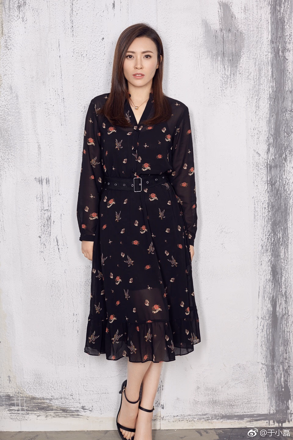 于小磊 高清写真/照片下载 #3482422