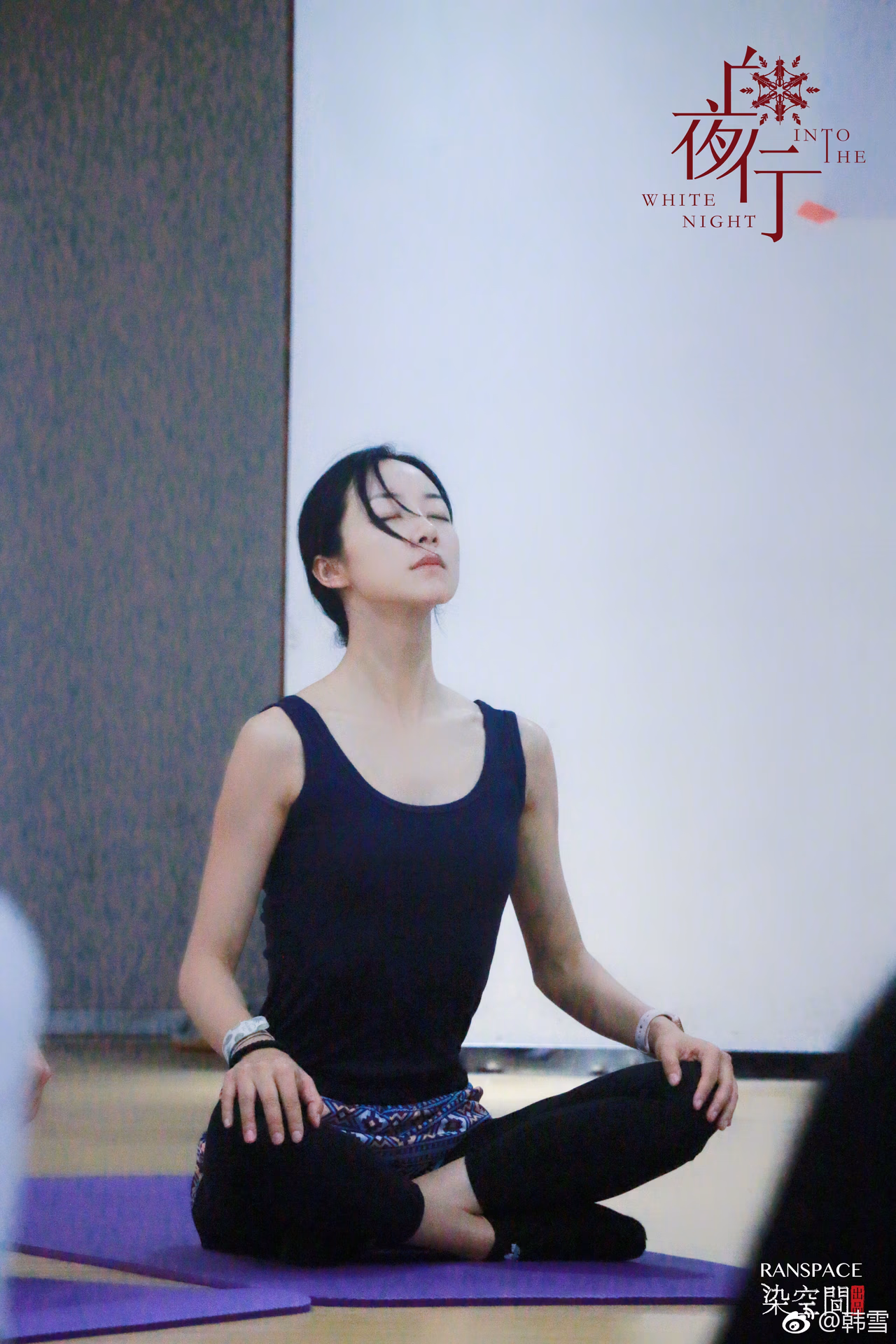 한쉐 HD 이미지/사진 갤러리 다운로드 #6656387