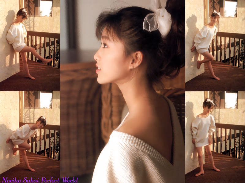 酒井法子 高清写真/照片下载 #5472823