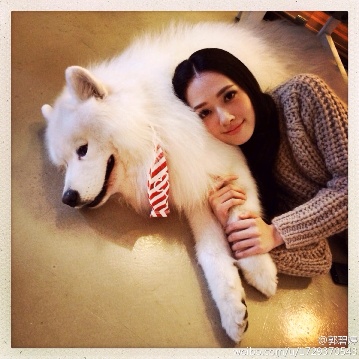 Bea Hayden Kuo HD画像/フォトギャラリーダウンロード #6731437