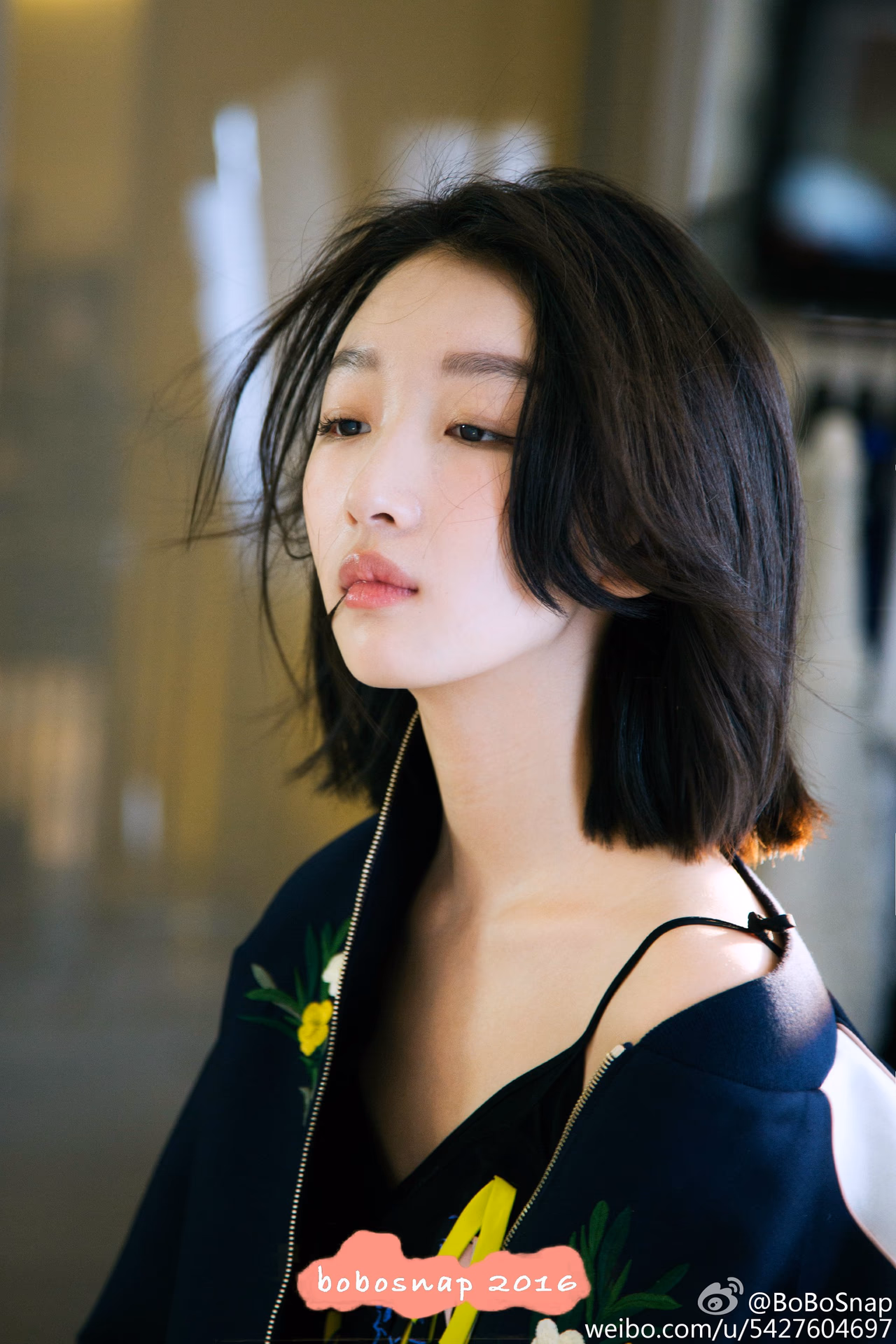 Dongyu Zhou HD画像/フォトギャラリーダウンロード #1907258