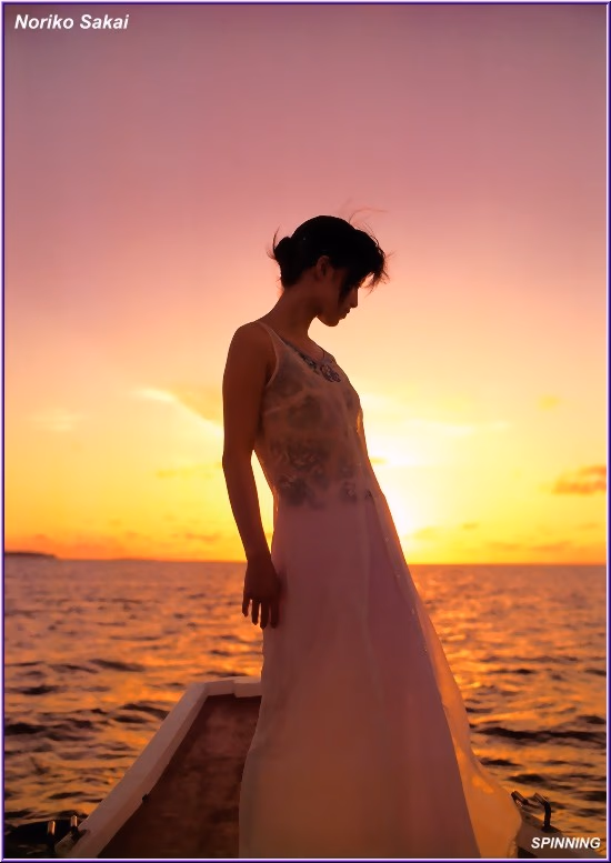 酒井法子 高清写真/照片下载 #9681642