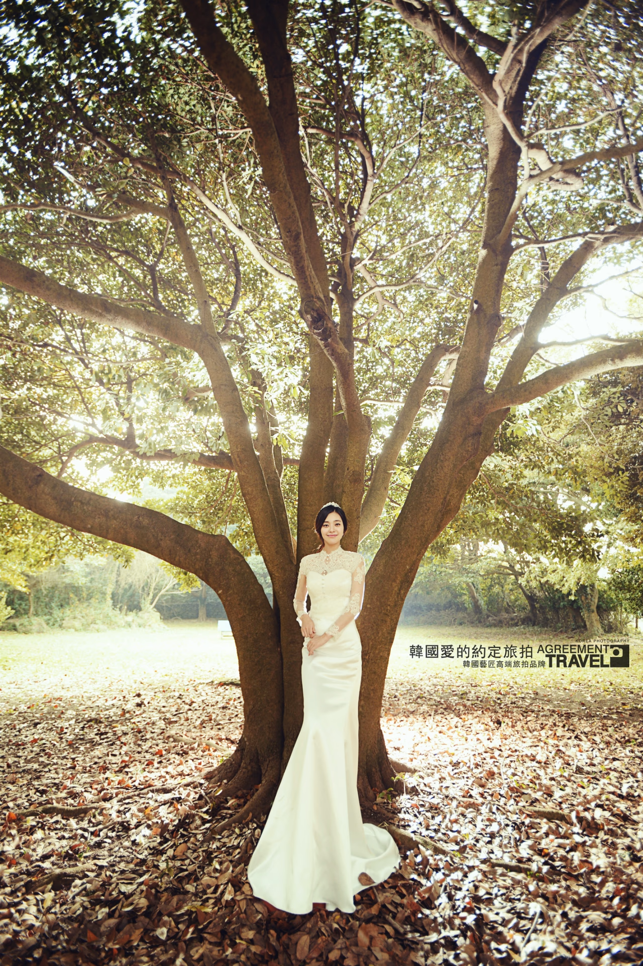 李英恩 高清写真/照片下载 #709646