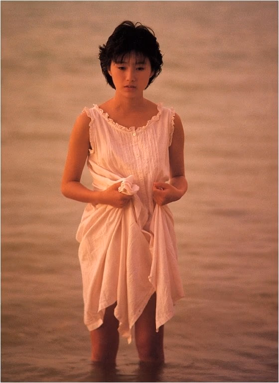 酒井法子 高清写真/照片下载 #8848260