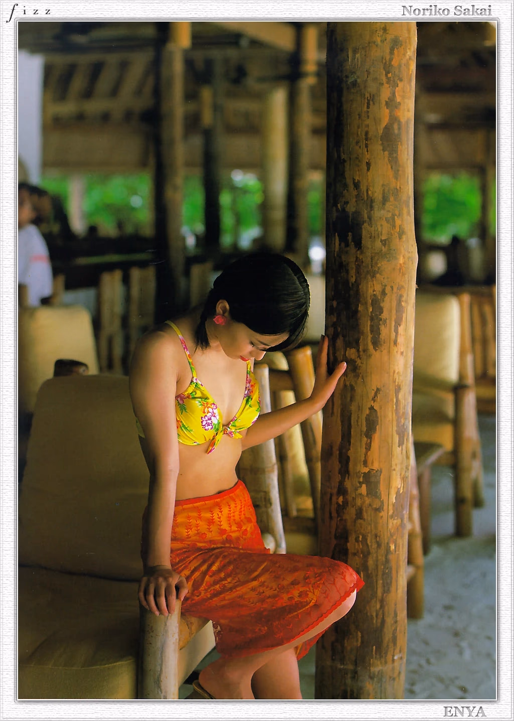 酒井法子 高清写真/照片下载 #8848589