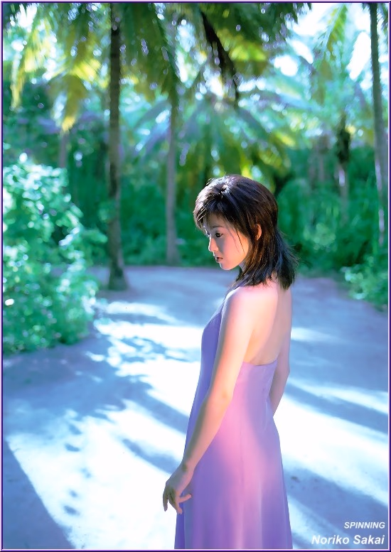 酒井法子 高清写真/照片下载 #9681646