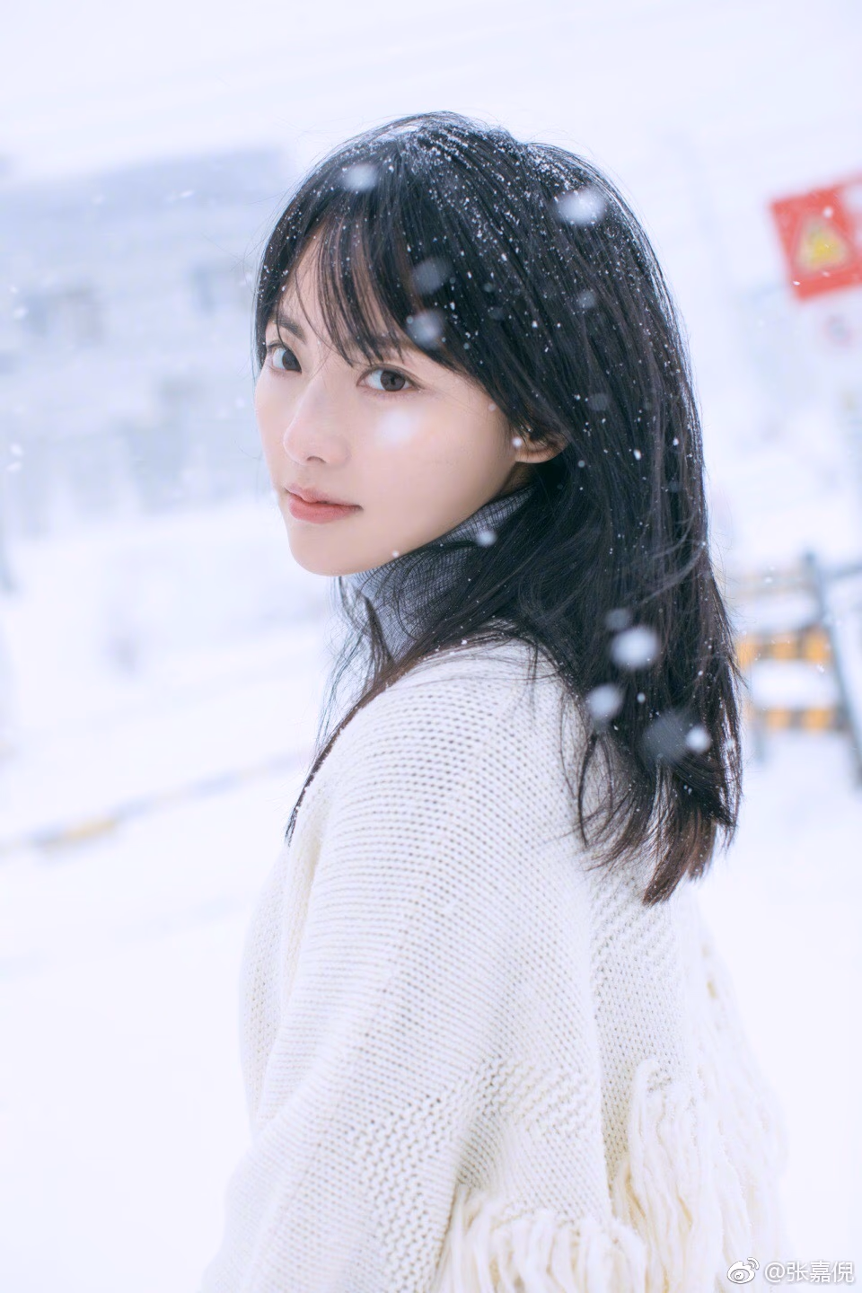 장가니 HD 이미지/사진 갤러리 다운로드 #2023216