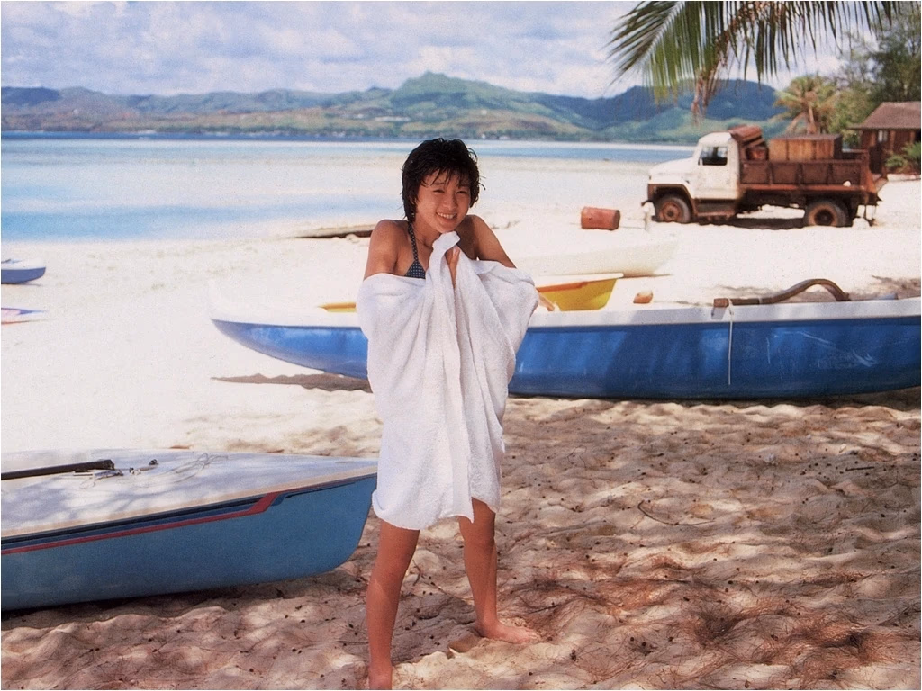 酒井法子 高清写真/照片下载 #8848443