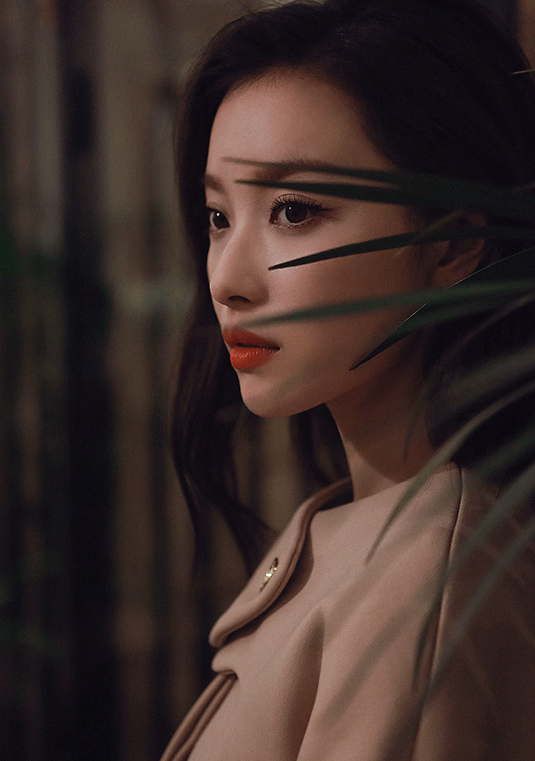 倪妮 高清写真/照片下载 #3489985
