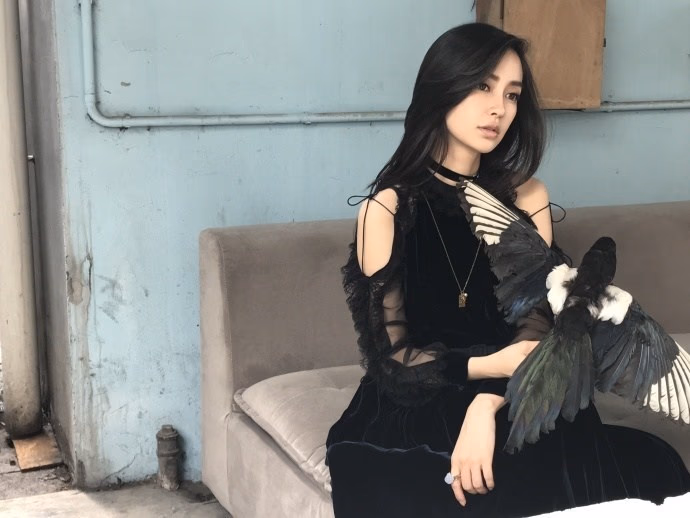 안젤라 베이비 HD 이미지/사진 갤러리 다운로드 #6650370