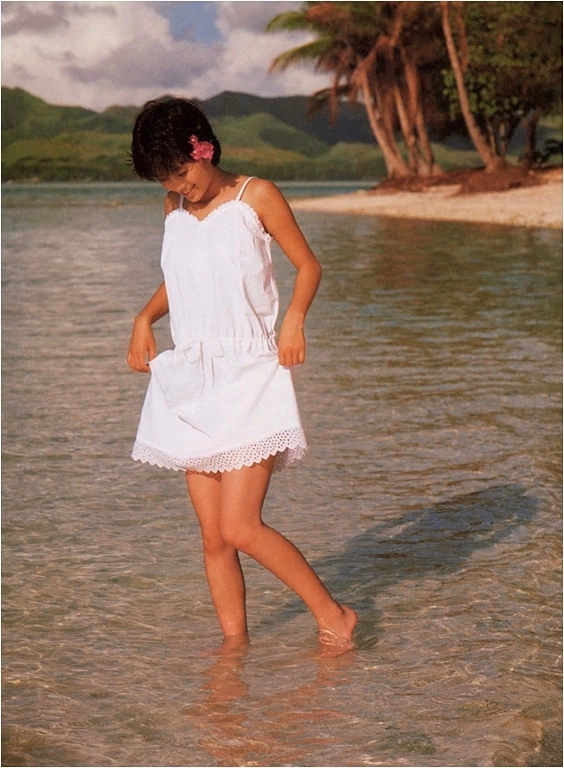 酒井法子 高清写真/照片下载 #8848475