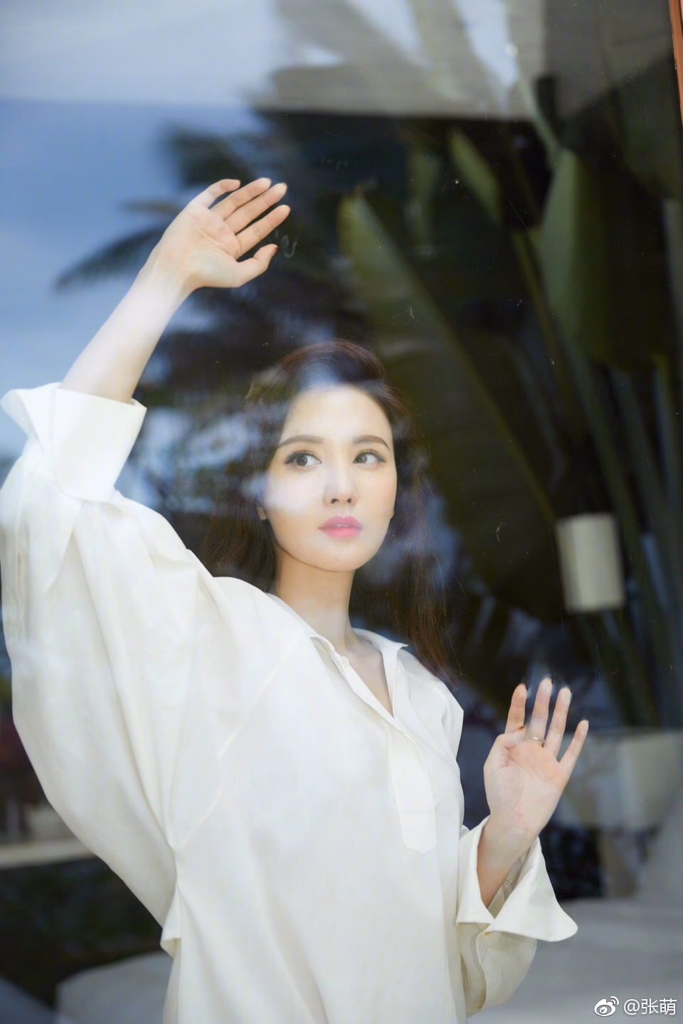 Meng Zhang HD画像/フォトギャラリーダウンロード #6960748