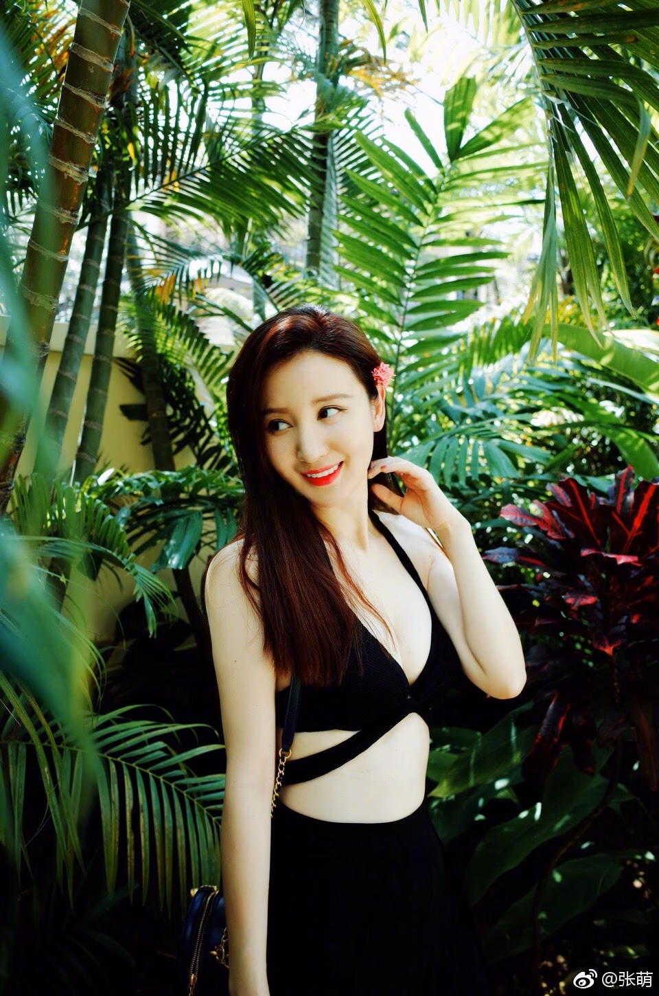 Meng Zhang HD画像/フォトギャラリーダウンロード #7021507