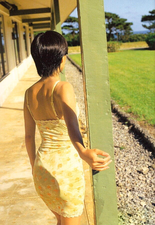 酒井法子 高清写真/照片下载 #8848644