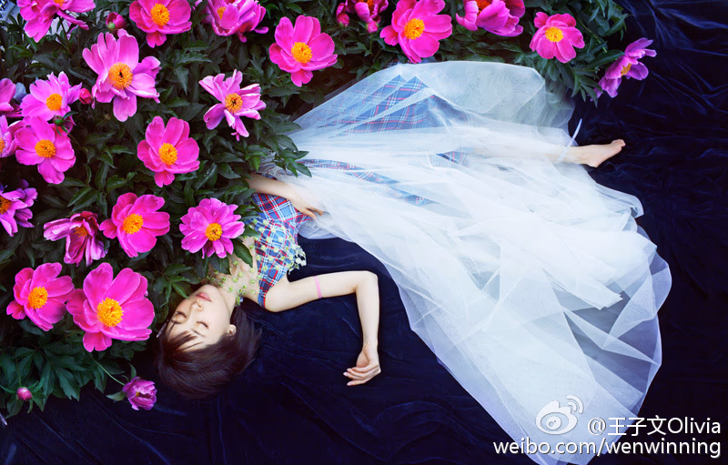 王子文 高清写真/照片下载 #7029225