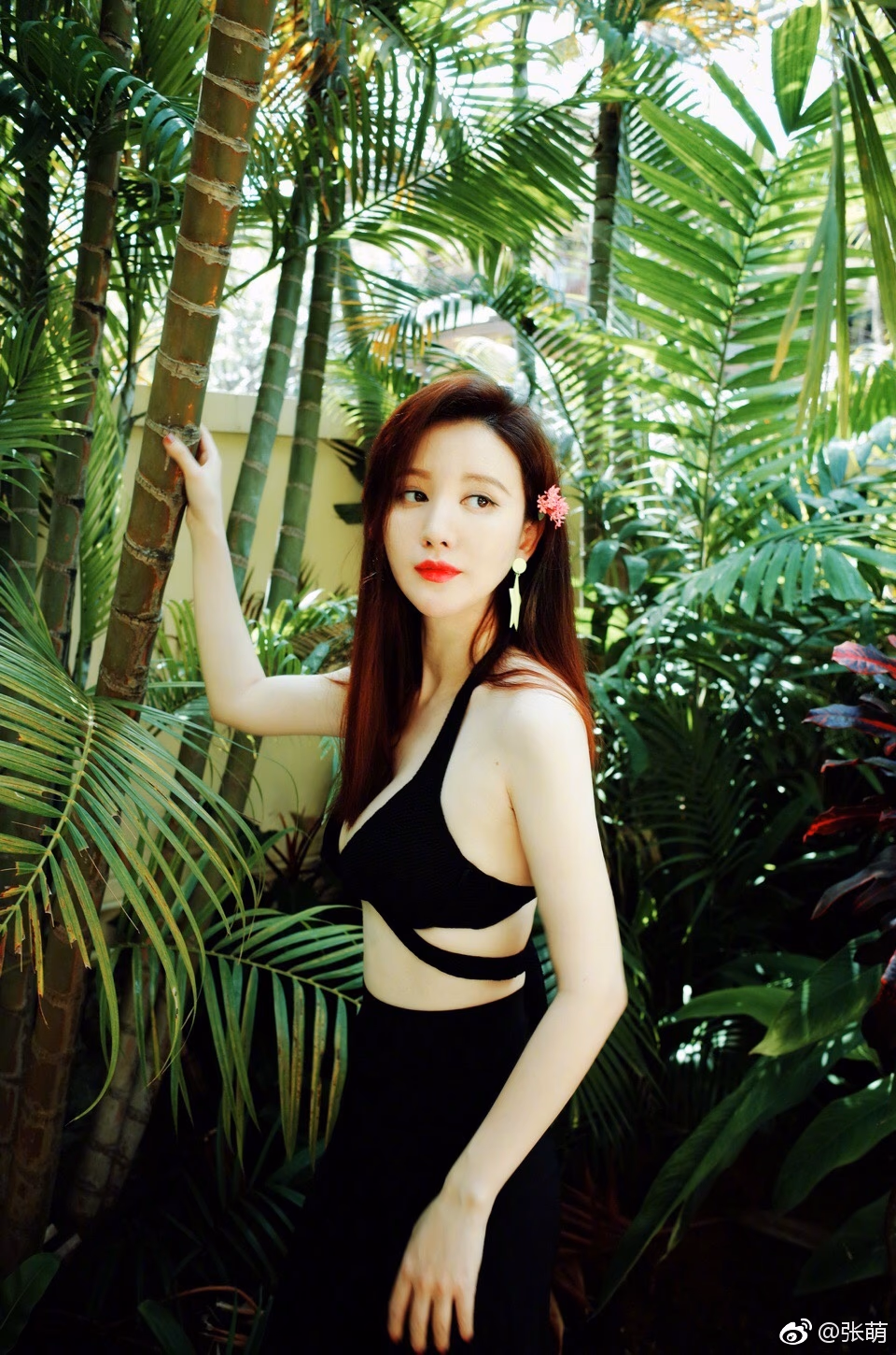 Meng Zhang HD画像/フォトギャラリーダウンロード #7021512