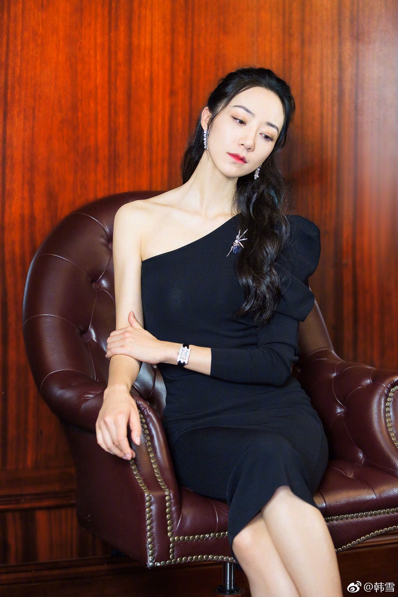한쉐 HD 이미지/사진 갤러리 다운로드 #6656633