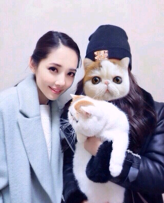 Bea Hayden Kuo HD画像/フォトギャラリーダウンロード #1854619