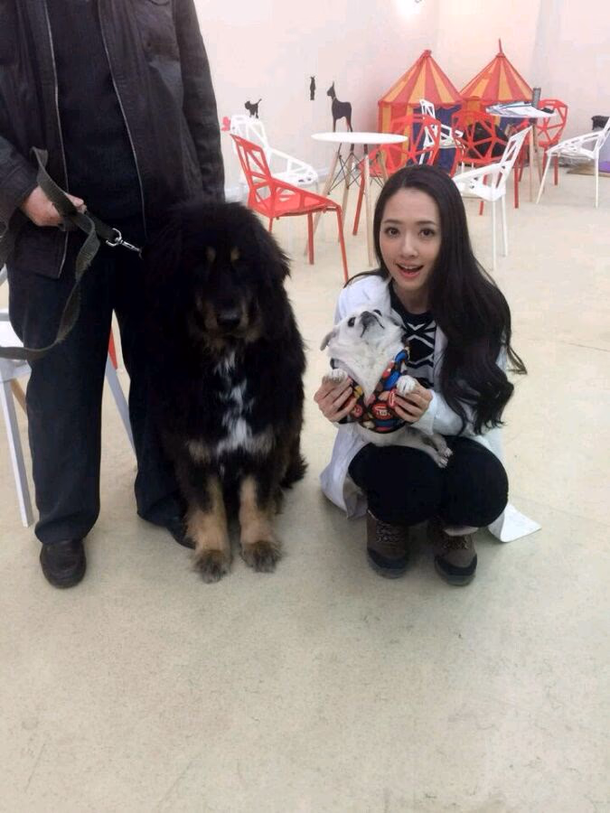 Bea Hayden Kuo HD画像/フォトギャラリーダウンロード #1854628